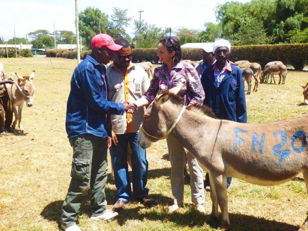 Donating_Donkeys_1