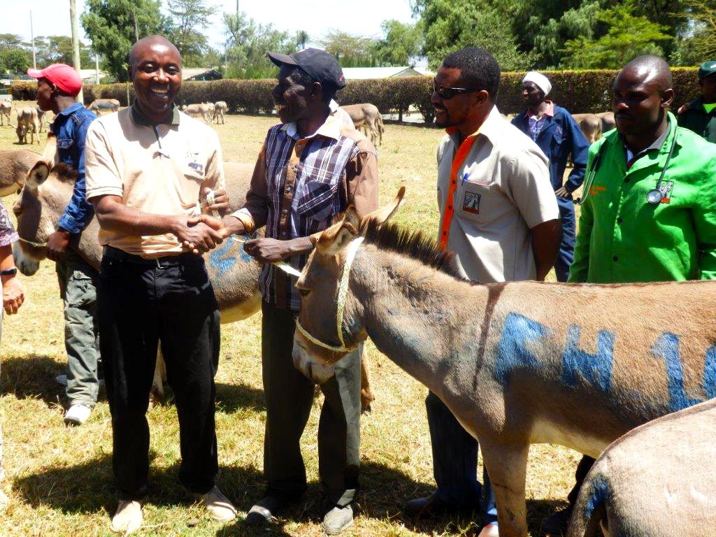 Donating_Donkeys_2