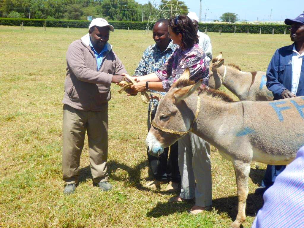 Donating_Donkeys_4