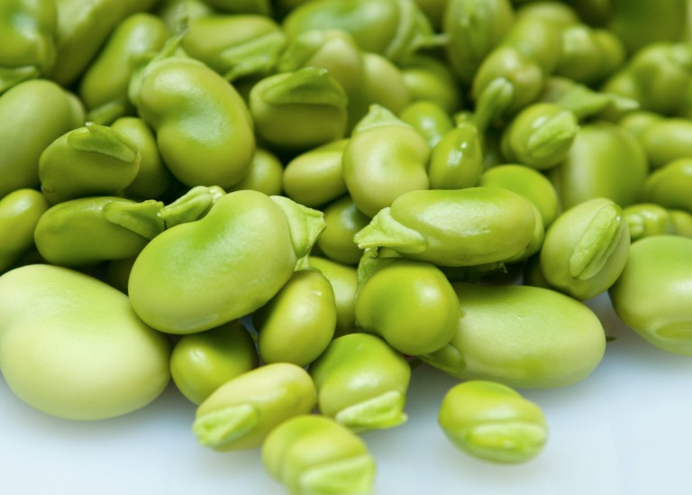 Fresh_Produce_images_broad_beans Flamingo
