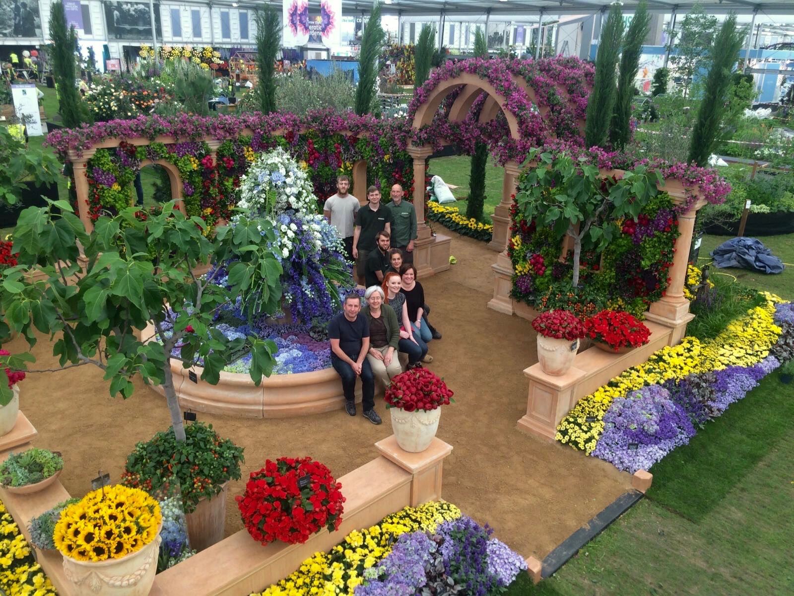 Chelsea Flower Show 2017 Flamingo