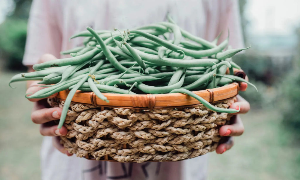 Recent article from The Guardian; “Turning surplus food into free school meals in Kenya.”