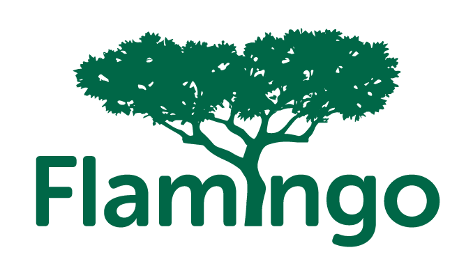 Flamingo Group International