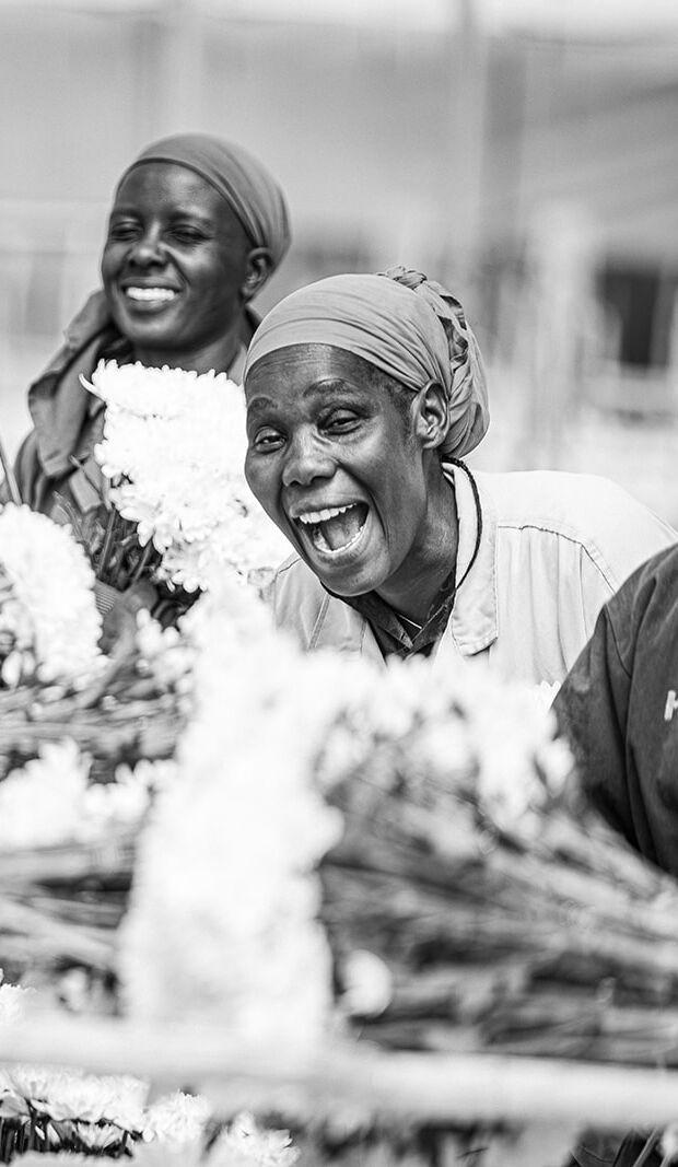 miseda 2031 e1771576070816