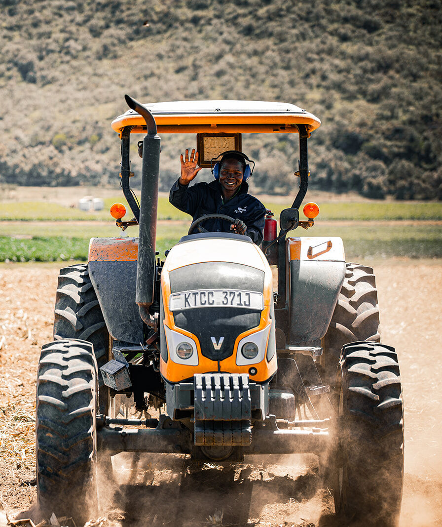 miseda 2048 1 e1771576003132