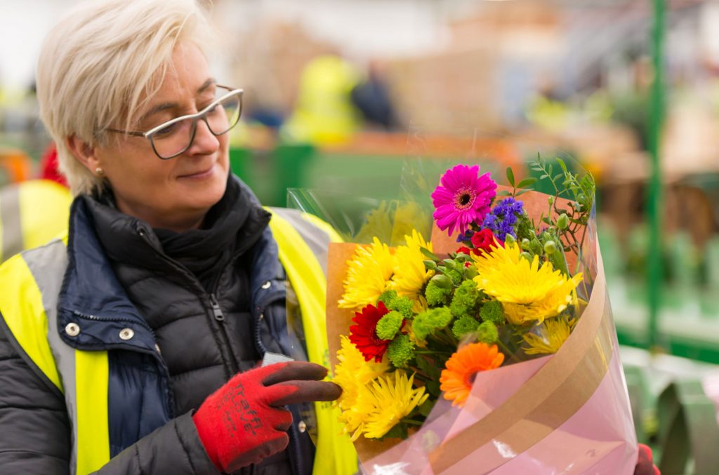 Flamingo HP slider 1 1024x677 3