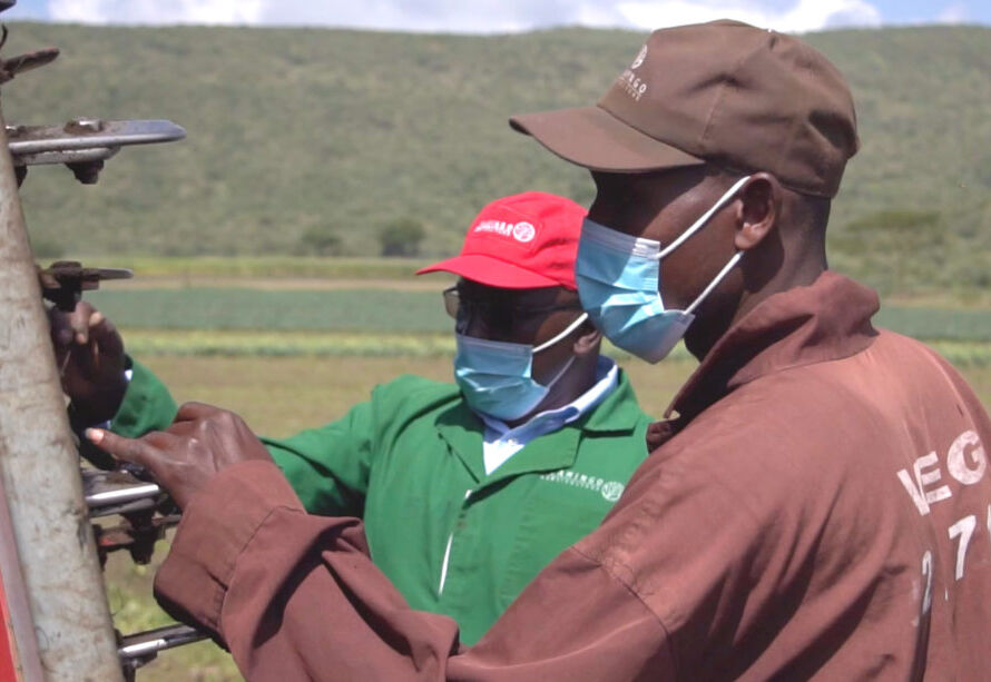 Flamingo Horticulture Kenya 1024x613 1