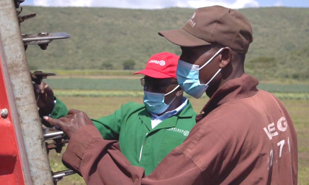 Flamingo Horticulture Kenya 1024x613 1