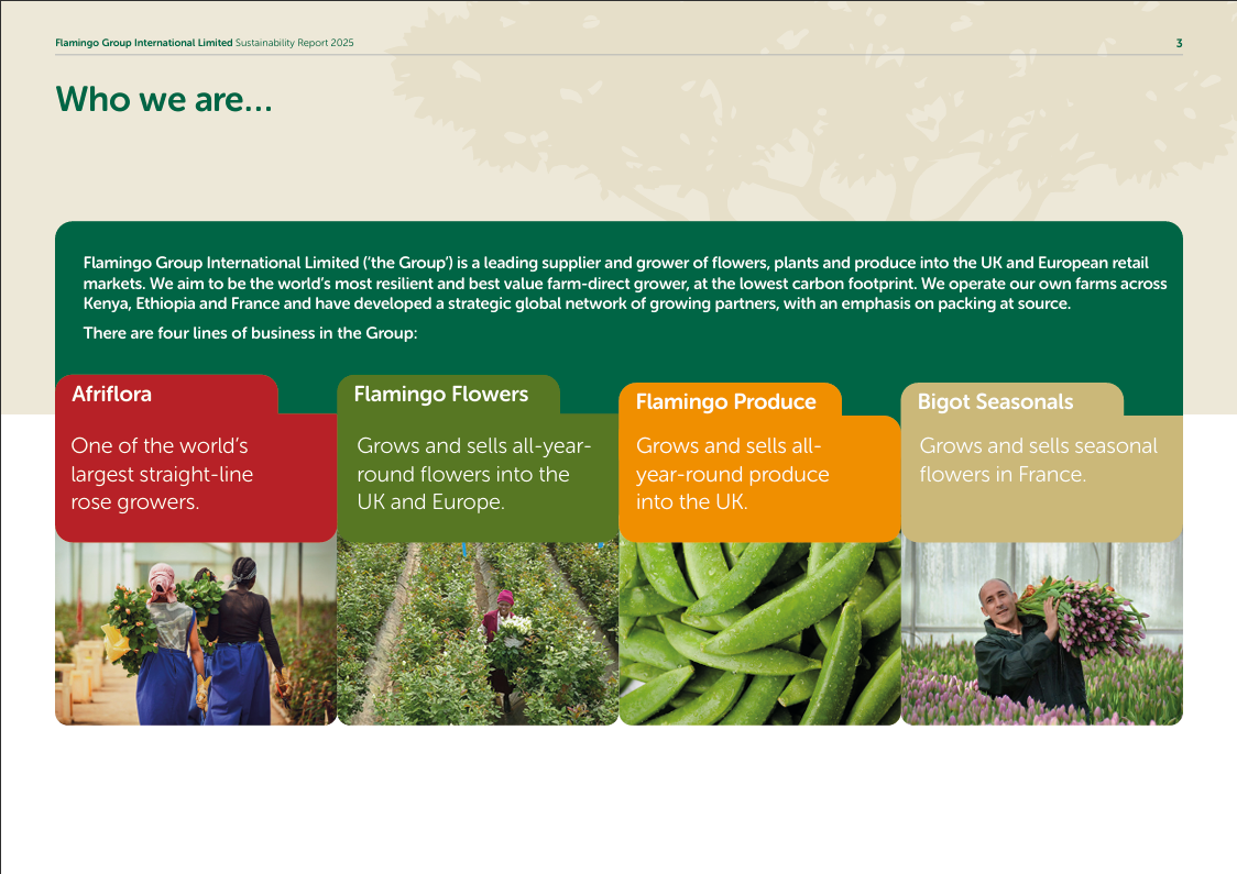 Sustainability Page 3