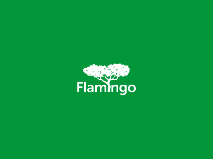 FLAMINGO LTD