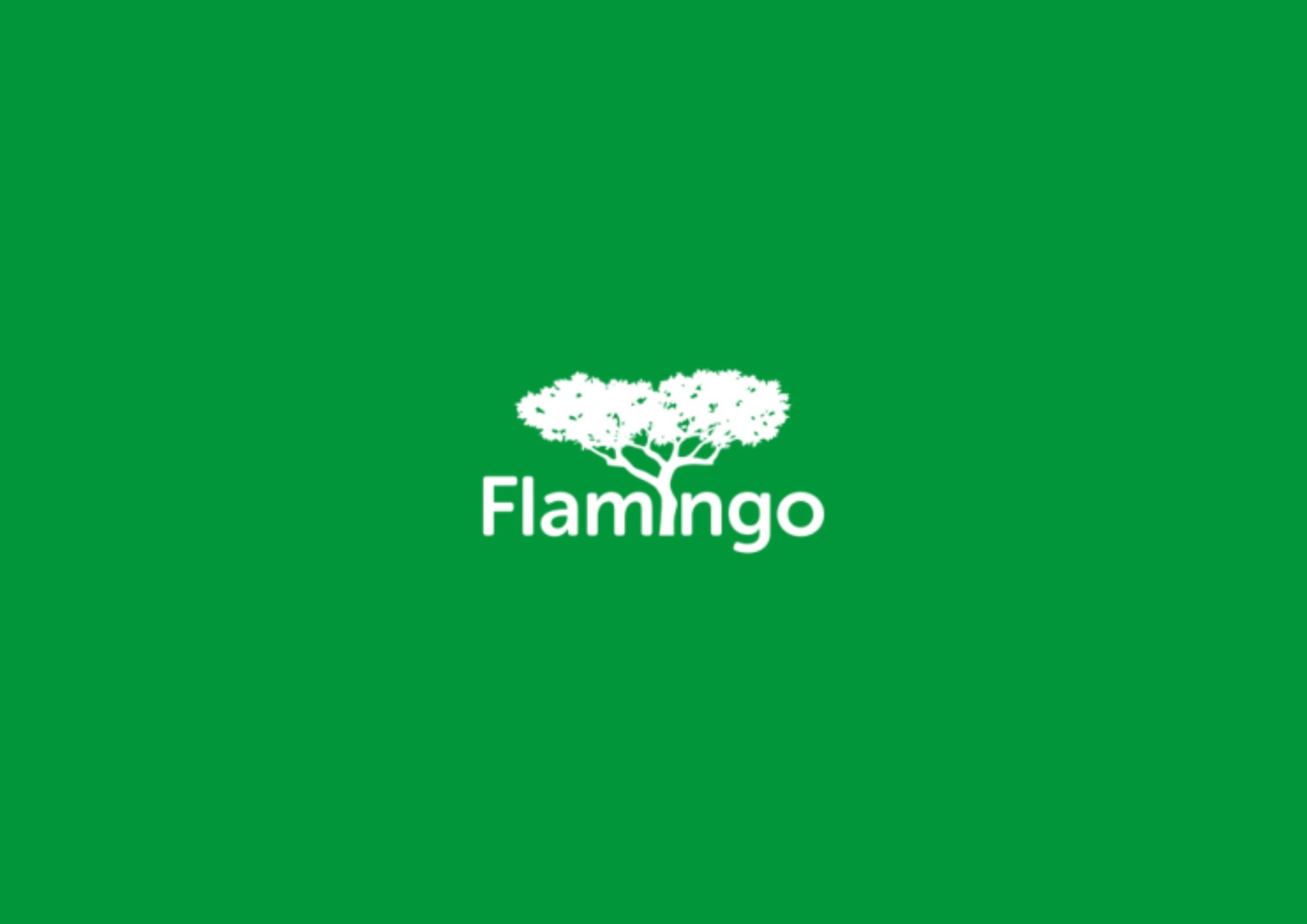FLAMINGO LTD